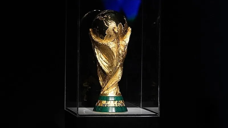 除了土耳其队外，瑞典、捷克和波斯尼亚和黑塞哥维那也获得了世界杯入场券